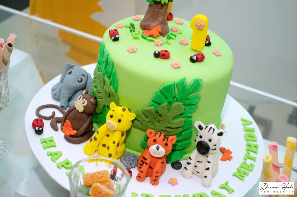Methdiv 1st Birthday - Sri Lankan Photoshoot Gallery (1)