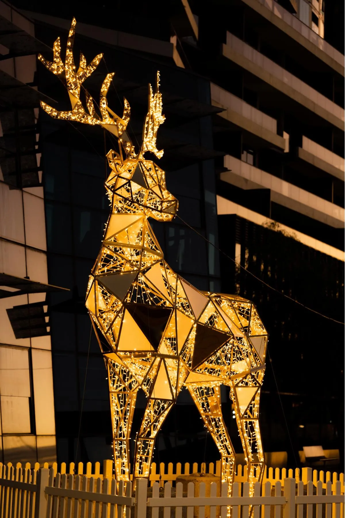 Melbourne, Victoria, Australia - Sri Lankan Photoshoot Gallery (1)
