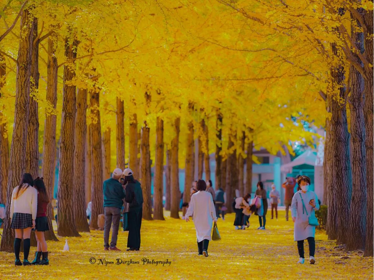 JAPAN - Sri Lankan Photoshoot Gallery (1)