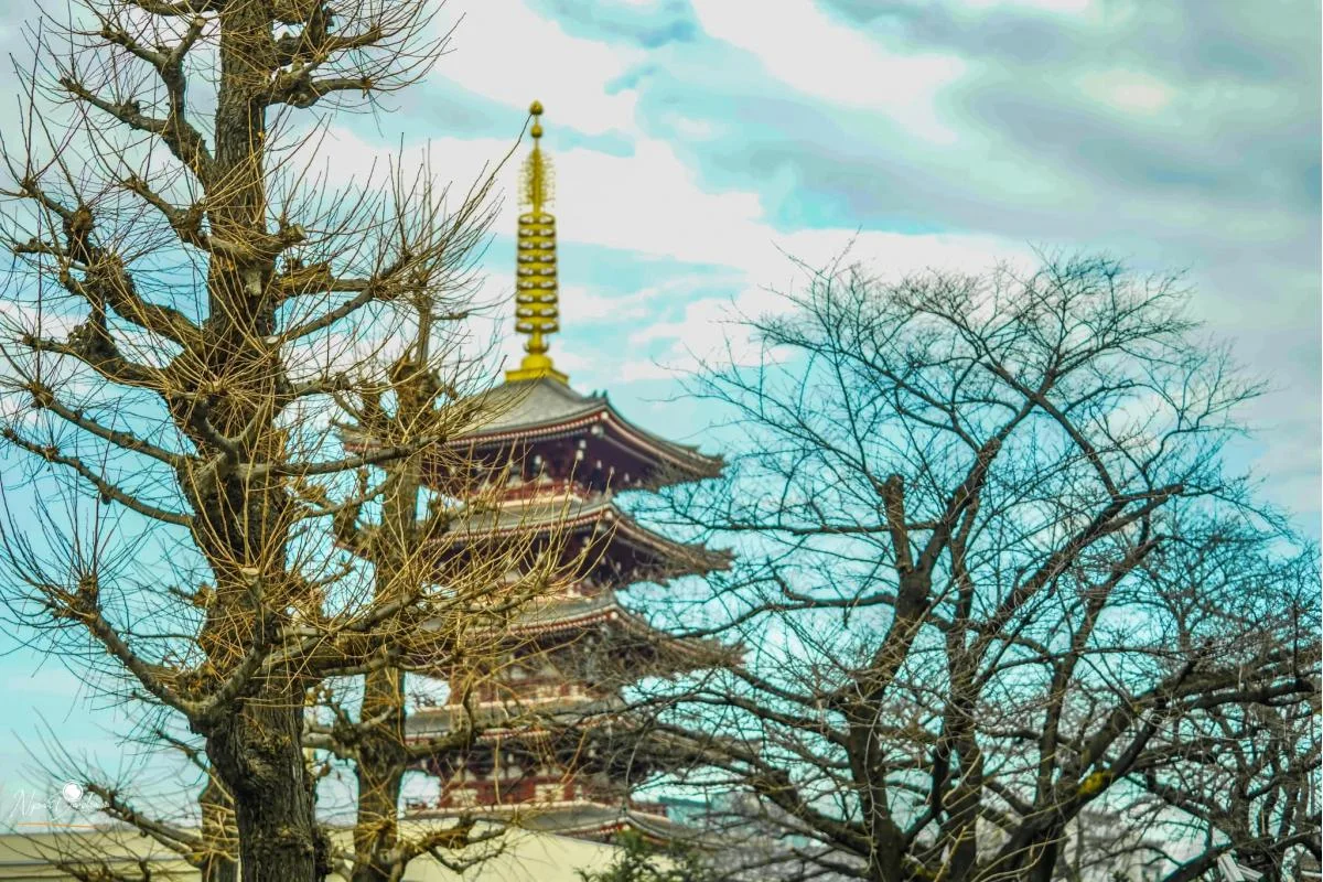  Sensoji Temple, Asakusa - Sri Lankan Photoshoot Gallery (5)