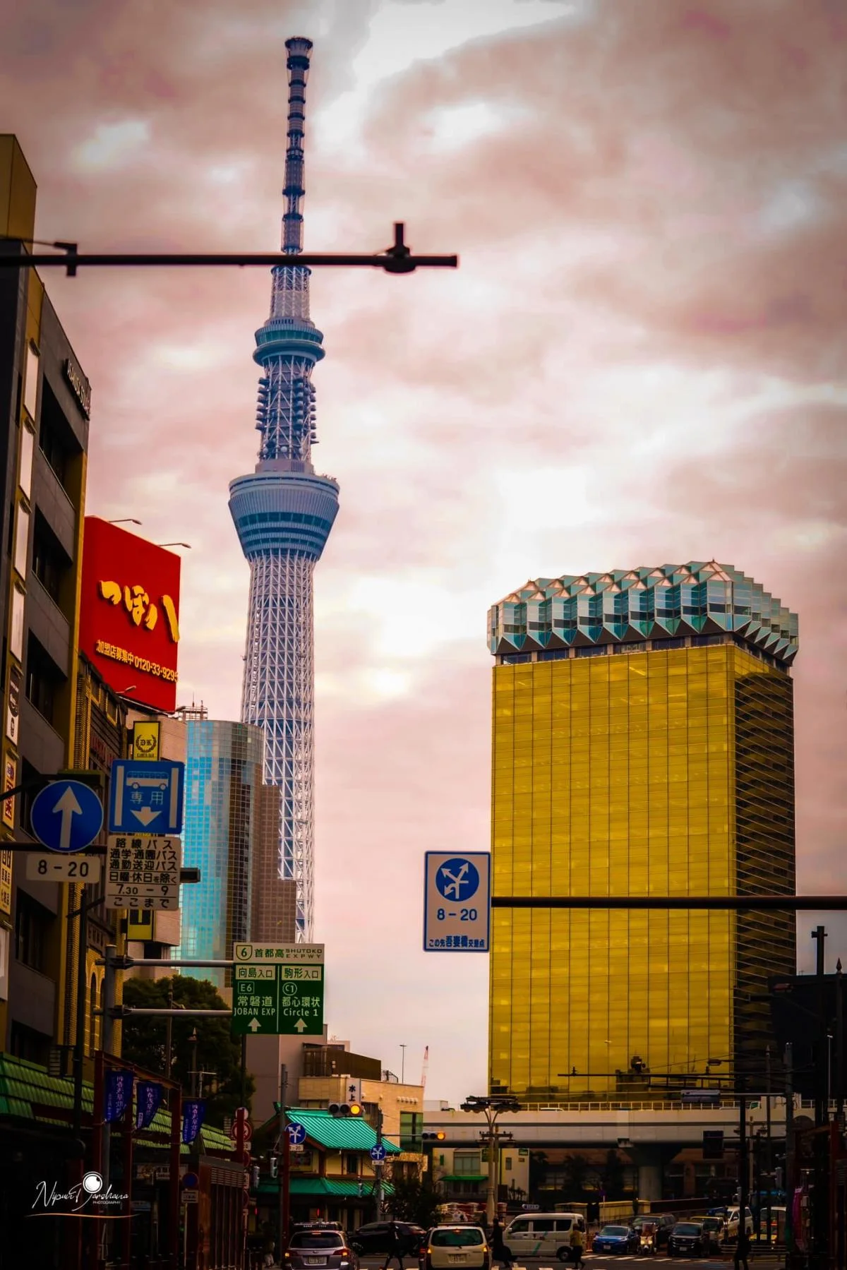  Sensoji Temple, Asakusa - Sri Lankan Photoshoot Gallery (7)