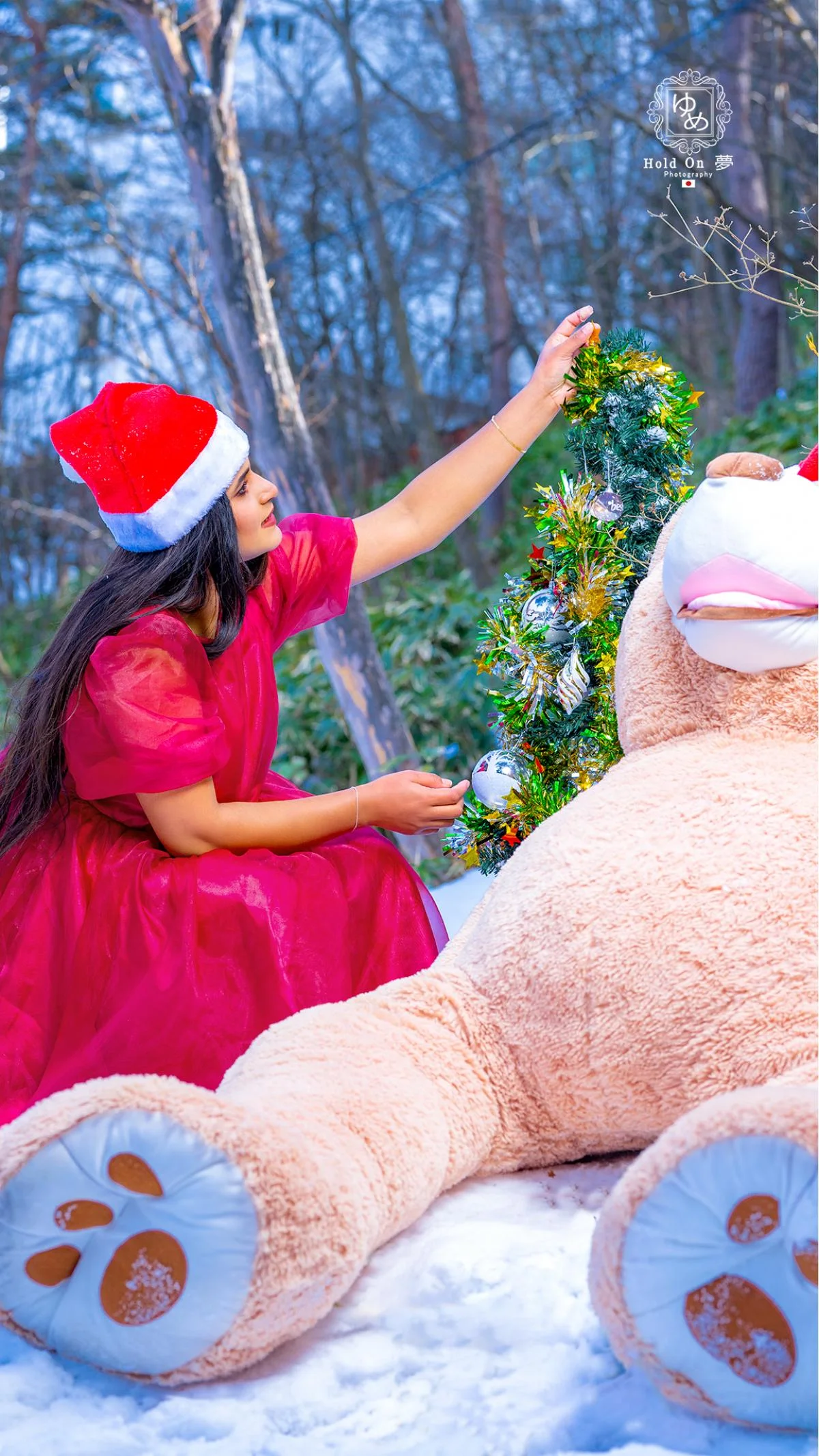 Merry Christmas  - Sri Lankan Photoshoot Gallery (12)