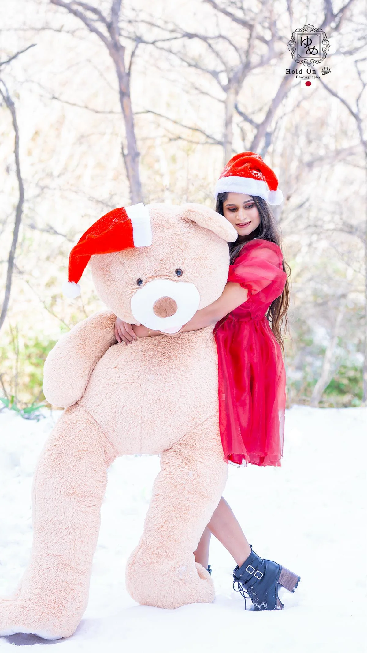 Merry Christmas  - Sri Lankan Photoshoot Gallery (5)