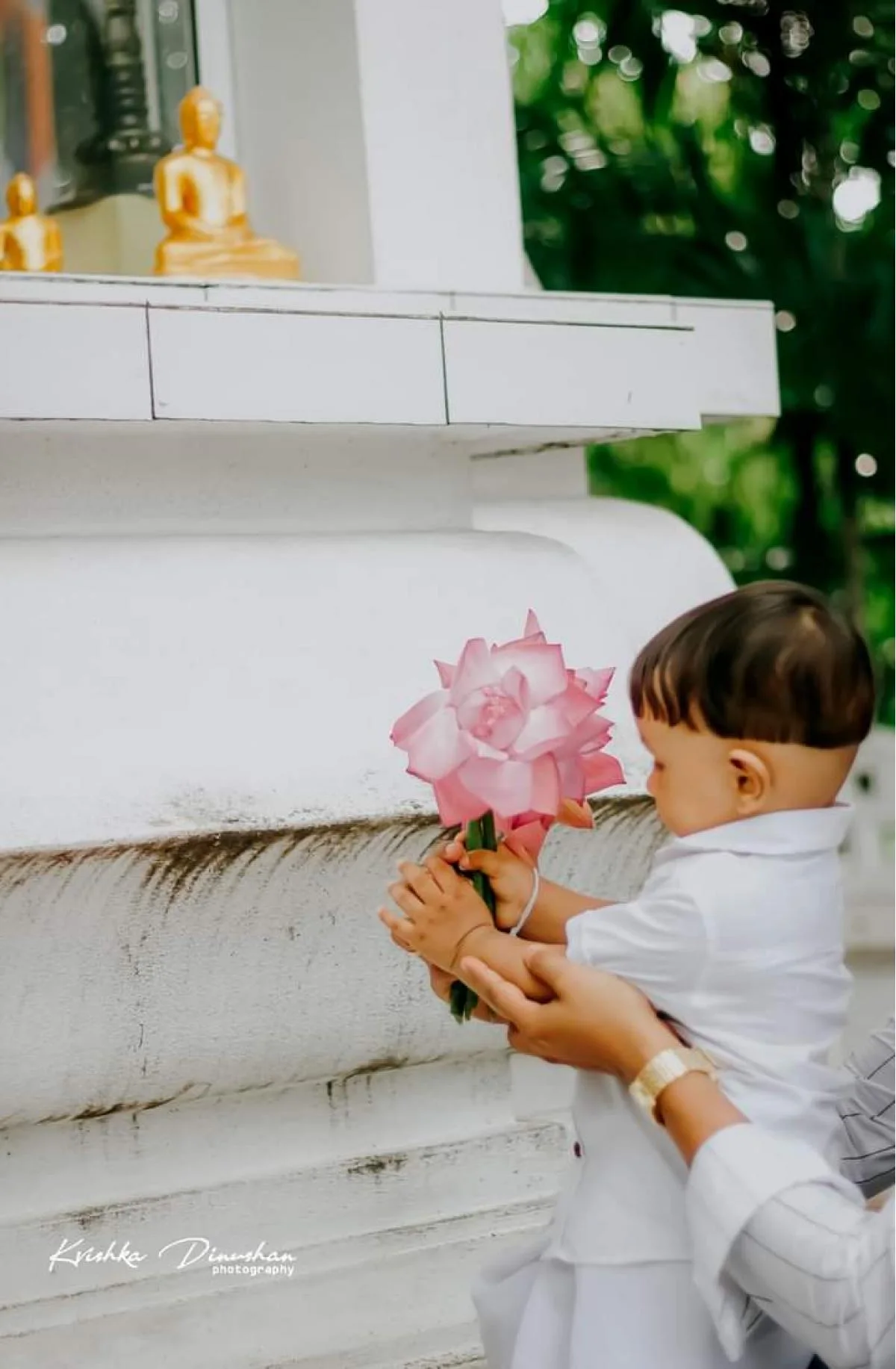 1st Birthday - Sri Lankan Photoshoot Gallery (7)