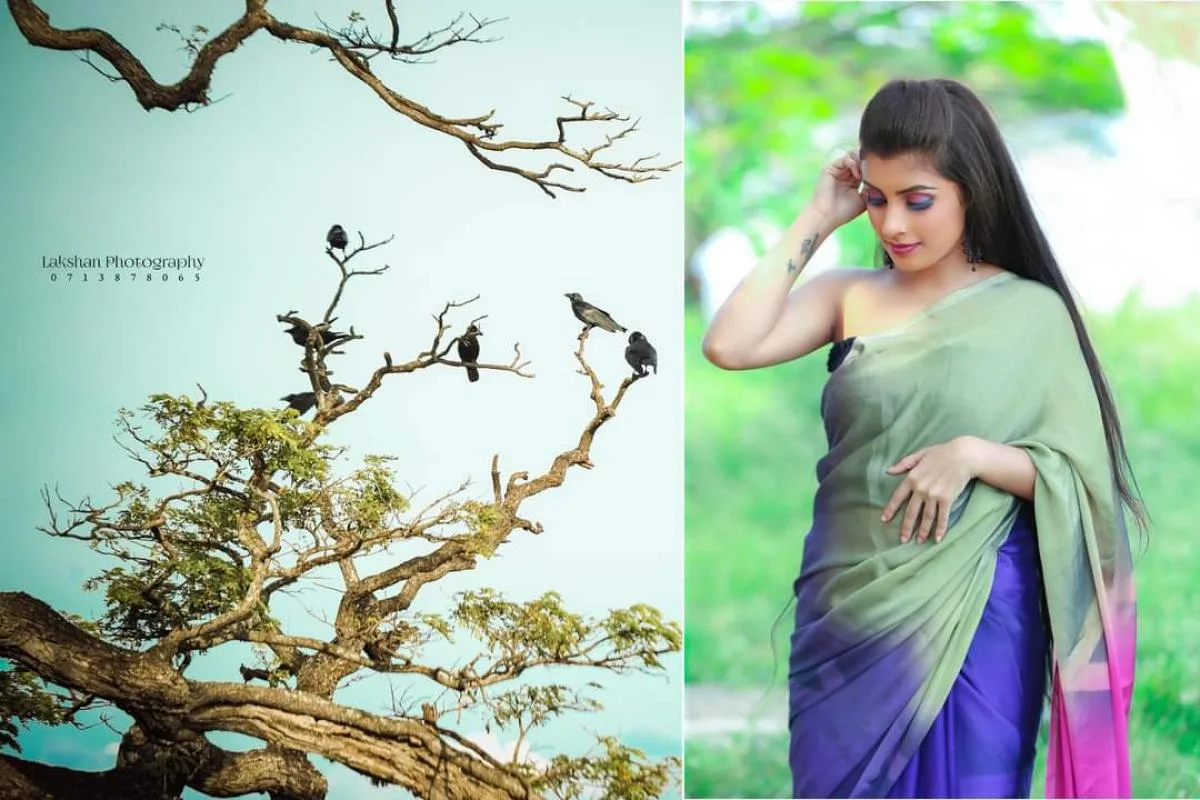 DARSHI - Sri Lankan Photoshoot Gallery (9)