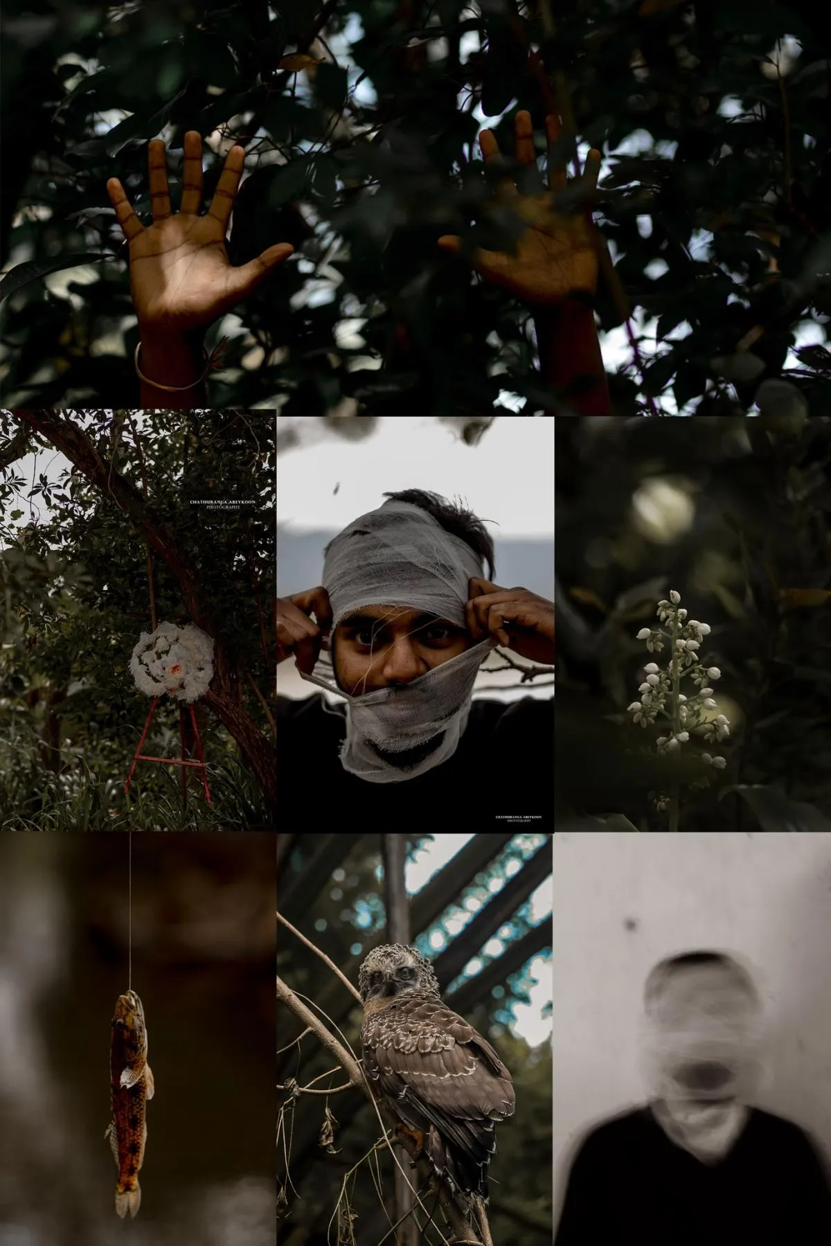 Mysterious - Sri Lankan Photoshoot Gallery (1)