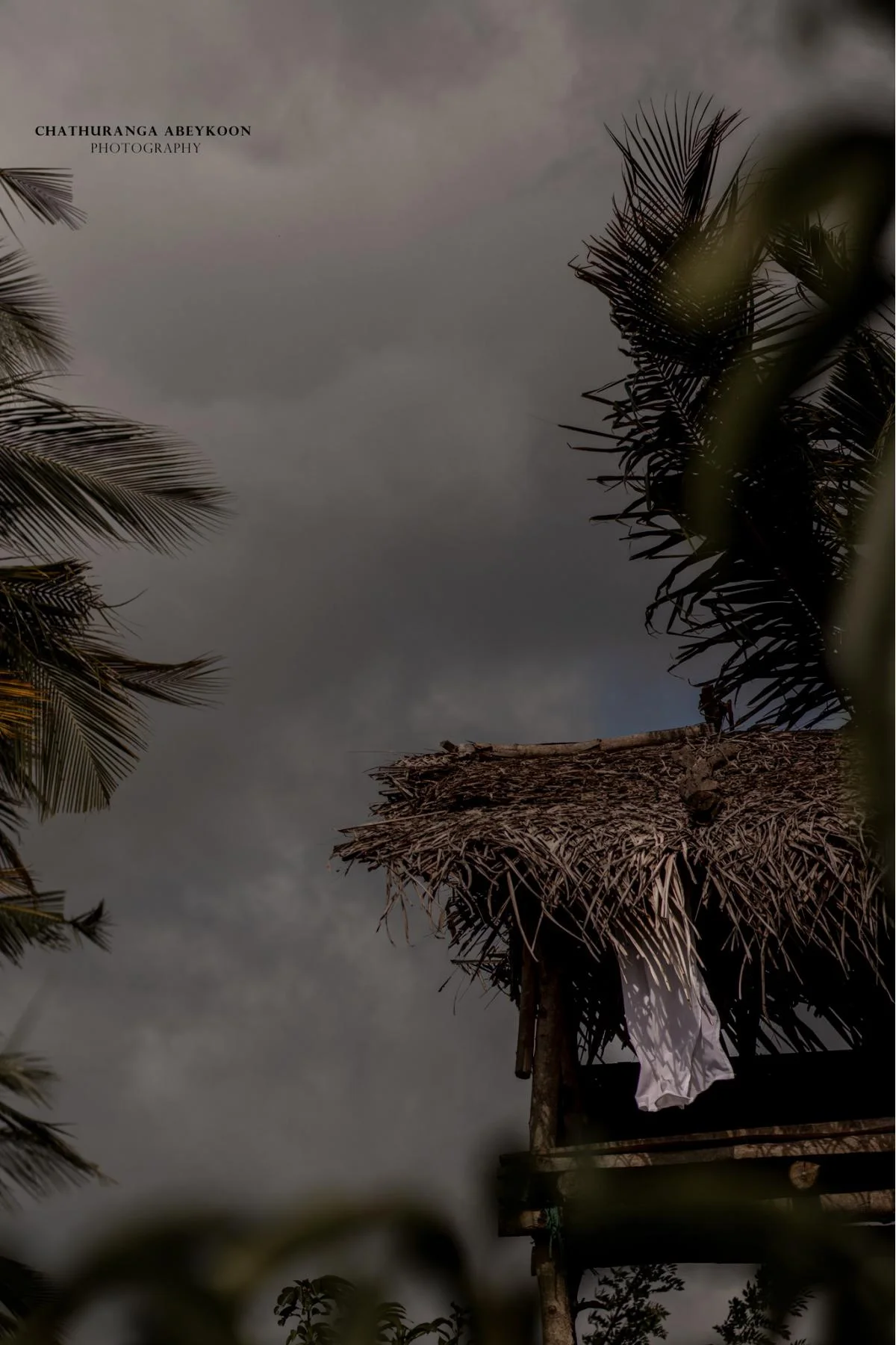 Mysterious - Sri Lankan Photoshoot Gallery (2)